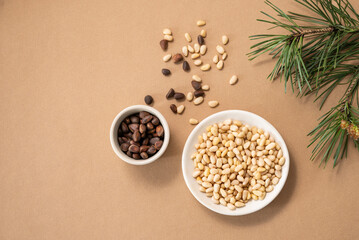 Pine nuts in a white plate and scattered on a yellow background with branches of pine needles . The...