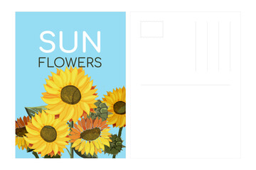 Postcard template Sunflowers on a blue background. Fields for address and stamp. Summer field of yellow flowers with text. Sunflower seeds. Painted in watercolor. Botany. Vector illustration