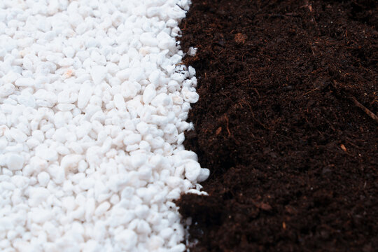 soil and Perlite for plants. neutral material of volcanic origin