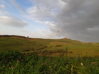 perfect view of nature that the sun is brightens and gras is green in Algeria 