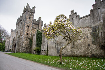 Howth Castle  in spring