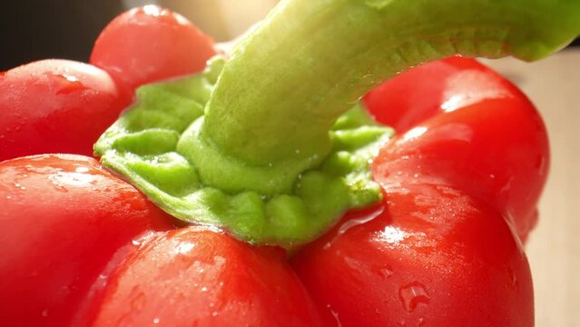In a macro video, vibrant red bell peppers shimmer with glistening droplets of water. The probe lens captures every intricate detail, showcasing the peppers' velvety texture and radiant color. 
