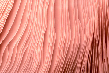 Close-up of the inner texture surface of a wild mushroom. Background pattern for design. Macro photo, top view