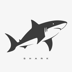 Obraz premium Modern vector shark logo template.