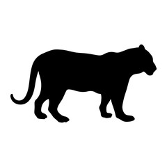 tiger icon