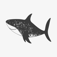 Modern vector shark logo template.