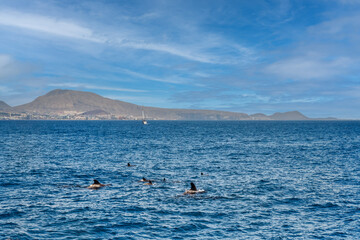 Orcs in the foreground. in the background a view of the city of Costa Adeje, Tenerife, Canary Islands, Spain