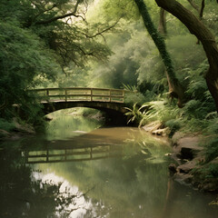 a river with trees around it