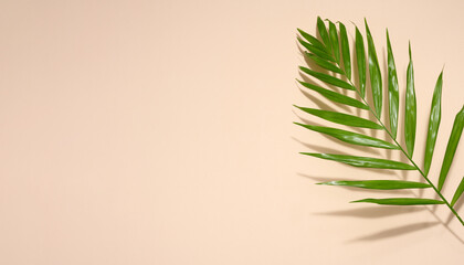 Abstract beige background with palm leaf and shadow, stage for showcasing products, cosmetics. Copy space