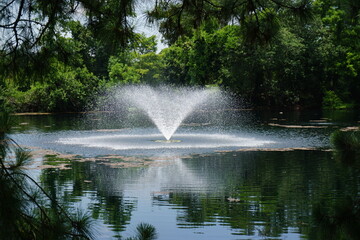 Gorgeous scenery at a local park in New Orleans on a summer day.
