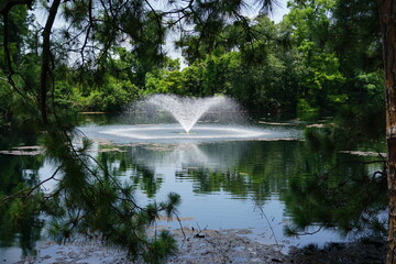 Gorgeous scenery at a local park in New Orleans on a summer day.