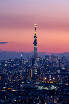 Tokyo, Japan - June 16 2023: Vertical image of Tokyo skytree at magic hour at Tokyo, Japan.