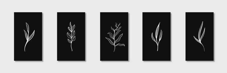 Black and white botanical line art vector poster for wall decoration