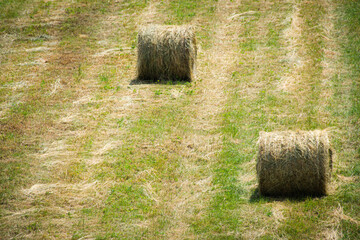 Some hay bales with green background.
