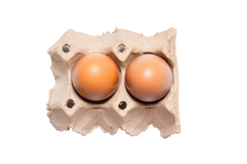 chicken eggs in the panel isolated on white background, clipping paht