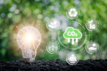 Reduce CO2 emission concept, Light bulb on soil with CO2 icon on virtual screen, Sustainable development and green business based on renewable energy, electric transport.