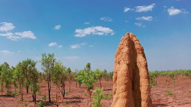 Desert of northern Australia. Hot dry climate landscape