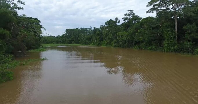 Larger River Between a Lot of Vegetation in the Amazon Rainforest in Pando, Bolivia