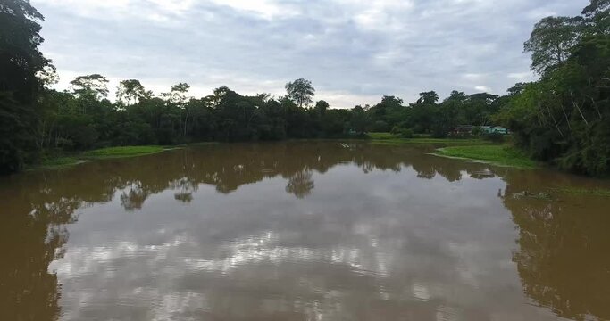 Larger River Between a Lot of Vegetation in the Amazon Rainforest in Pando, Bolivia