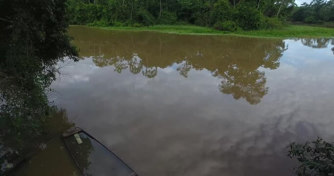 Larger River Between a Lot of Vegetation in the Amazon Rainforest in Pando, Bolivia