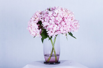 Beautiful flowers in a vase on a white background. Very clear picture.