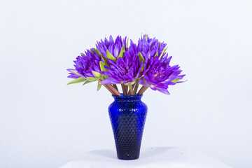 Beautiful flowers in a vase on a white background. Very clear picture.