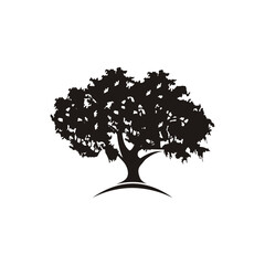 logo design vector icon abstract logo modern oak tree symbol