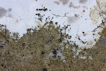 old cracked wall