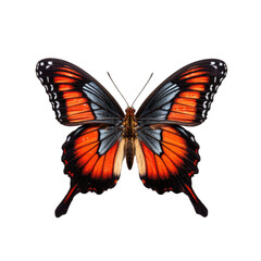 Fototapeta na wymiar butterfly isolated on a transparent background, generative ai