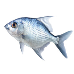 fish isolated on a transparent background, generative ai