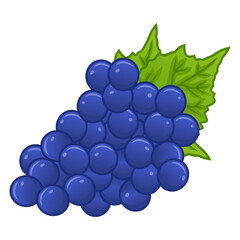 Grapes Cartoon Drawing Illustration