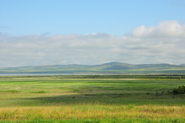 Naklejka premium A huge boundless steppe with tall yellowed grass at the foot of a mountain range on a cloudy summer day.