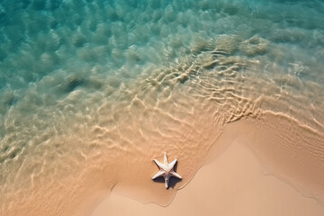 Fototapeta na wymiar Summer Beach Coast Holiday Vacation Background with Clean Sea Ocean Water and Starfish