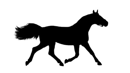 Running horse black silhouette. Horse silhouette. Animal silhouette 