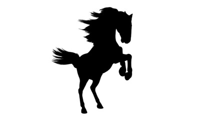 Running horse black silhouette. Horse silhouette. Animal silhouette . jumping horse silhouette 