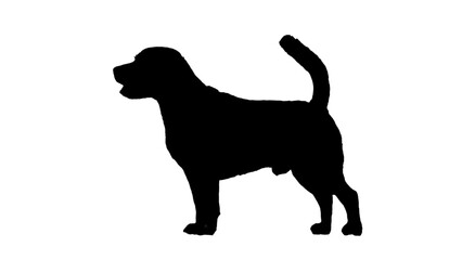 Dog silhouette isolated on white, silhouette of dog, animal silhouette 