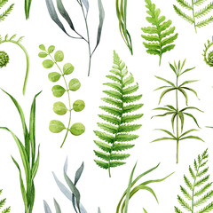 Forest greenery seamless pattern. Watercolor illustration. Hand drawn forest nature decor. Fern, grass, forest herbs, plants, leaves seamless pattern. Lush natural greenery decor. White background