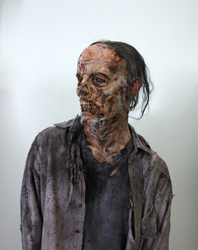 Walking Zombie Decayed Style Zombie