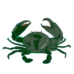 underwater creatures