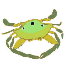 unferwater animals