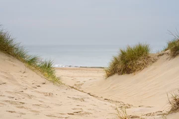 Foto auf Acrylglas Nordsee, Niederlande Beach view from the path sand between the dunes at Dutch coastline. Marram grass, Netherlands. The dunes or dyke at Dutch north sea coast
