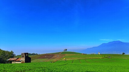 Landscape of the house in the middle of green plantation with mountains and blue sky