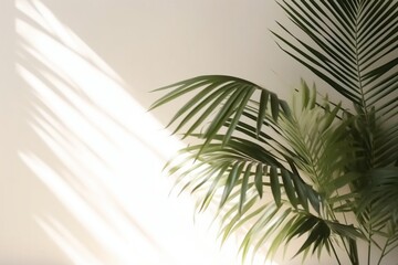 Blurred shadow from palm leaves on the Ivory wall. Minimal abstract background for product presentation.