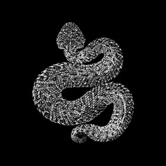 Peringuey’s Adder hand drawing vector isolated on black background.