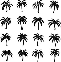 Fototapeta na wymiar Set of palm tree design, 16 styles coconut palm tree silhouette vector isolated
