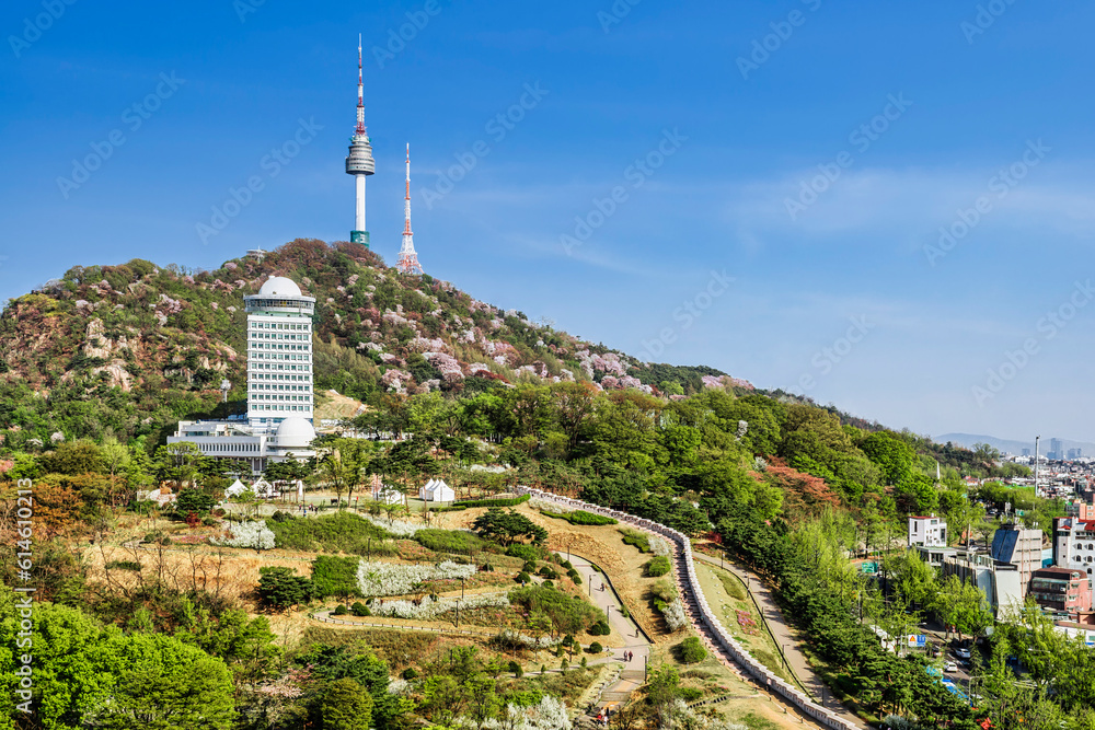 Wall mural 서울에 있는 남산의 서울성곽과 서울n타워. 벚꽃이 활짝핀 모습.