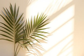 shadow from palm leaves on the Ivory wall. Minimal abstract background for product presentation.