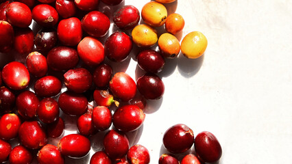 close up of fresh coffee beans for background                                                                                