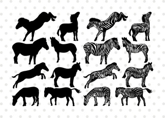 Zebra Silhouette, Zebra SVG, Zebra, Wildlife Svg, Animal Svg, Zoo Svg, Zebra Bundle, SB00333