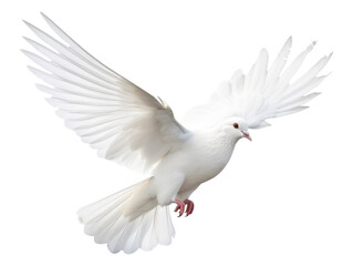 Flying Dove Isolated on Transparent Background - Generative AI

